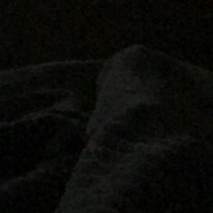 Meet your Posher, Mia